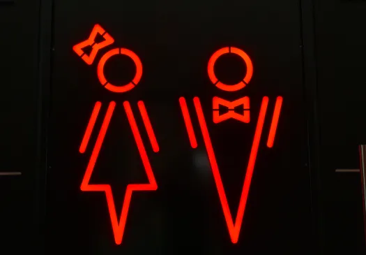 Luxolu WC Container rot