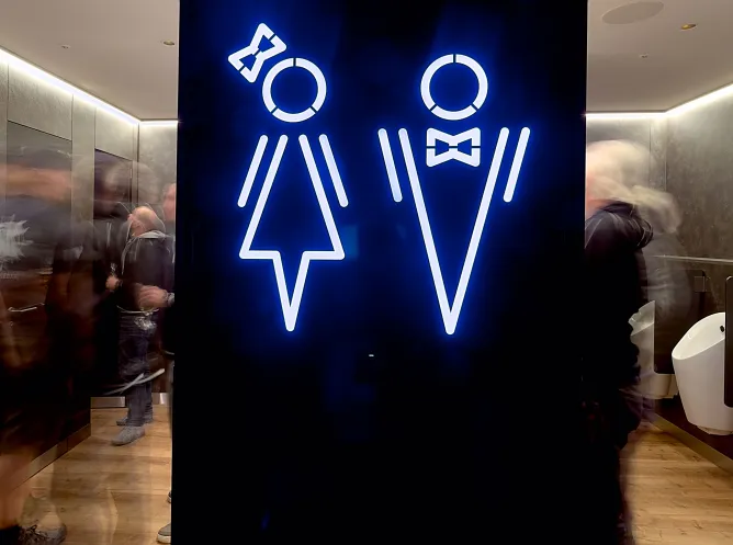 Luxolu WC Container Eingang